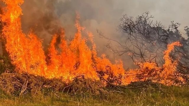 Bonfire Safety Concerns Rise as Donegal Faces Fire Risk Alert | dj jungle dutch, pkv deposit pulsa a