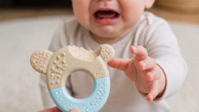 Urgent Recall: Potential Choking Hazard from GOPO Teething Toys | angkanet 4d wap, y8 among us game, poki games poki games